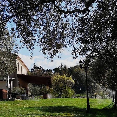 Villa Agriturismo La Contea Senigallia San Gaudenzio Exterior foto